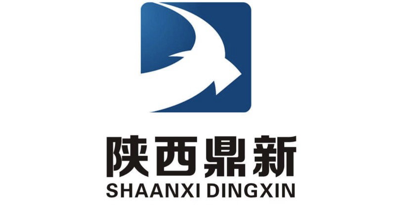 陕西鼎新